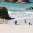 Kaapstad