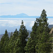 Gran Canaria