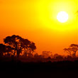 Vliegticket deals Afrika
