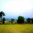 Kinshasa