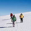 Kilimanjaro