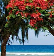 Réunion