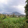Yaounde