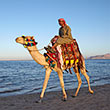 Sharm El Sheikh